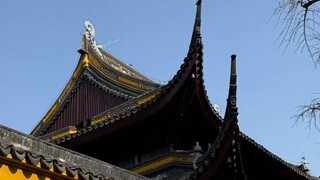 Phong Tín Mộ Thanh nhìn thấy bức tượng, liền kéo Tạ Liên ra, điên cuồng khuyên can hai người chia ta