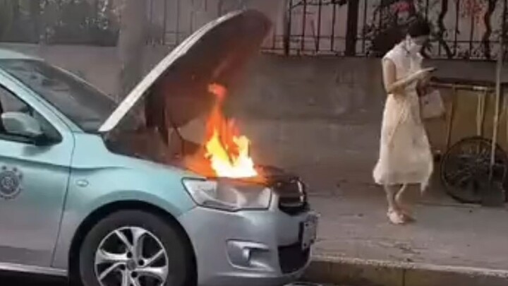 China has its own Florida too!!!!