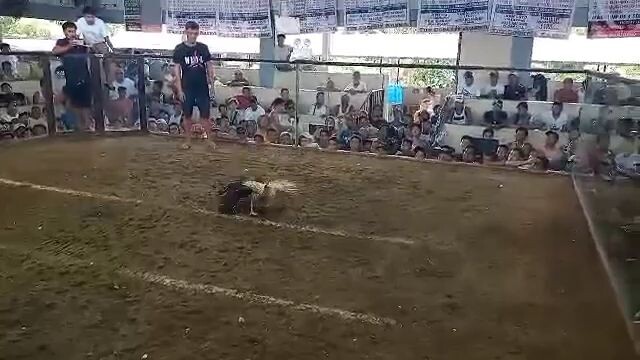 f#2win