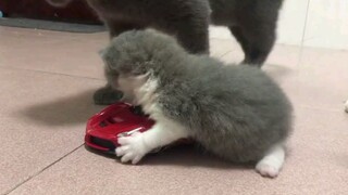 A minor driving over the speed limit