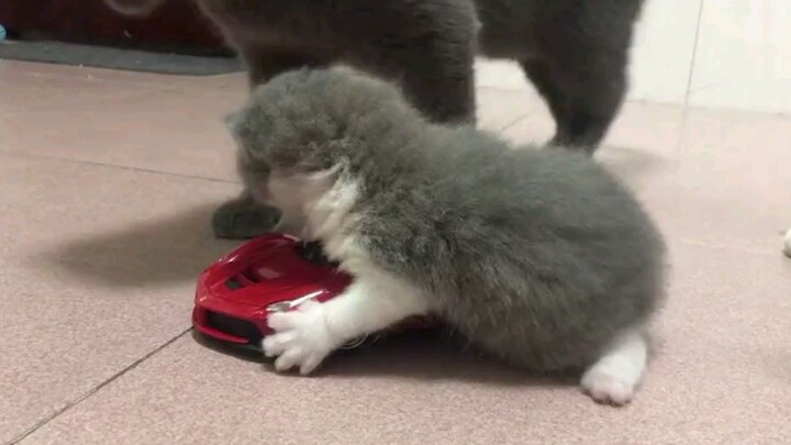 A minor driving over the speed limit