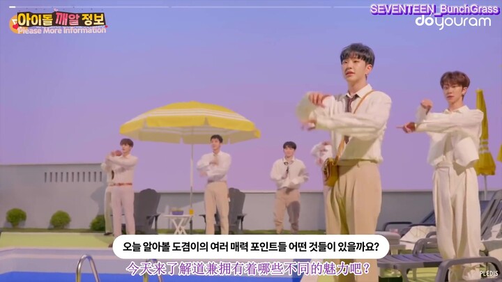 [200925][Sokcho Chinese Sub] SEVENTEEN’s DK: The Twisty Drama Hidden Behind the Main Vocalist [SVT D