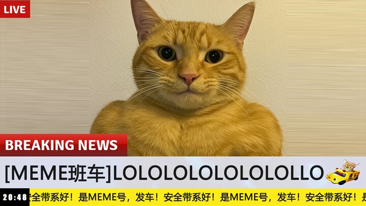 【Meme Shuttle】If You Laugh, Your Girlfriend Turns Into a Succubus #33