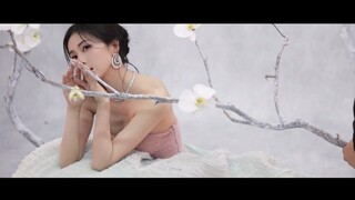 [White Deer] 20241207 Video cập nhật Trạm thông tin Luto hôm nay