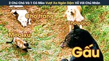 [Review Phim] 2 Chú Chó Và 1 Cô Mèo Cùng Nhau Vượt Xa Ngàn Dặm Đi Tìm Đường Về Với Chủ Nhân