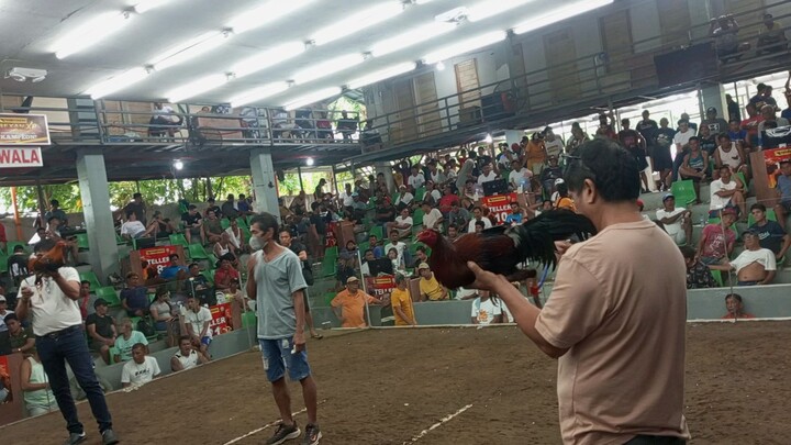 Dolores Cockpit Arena