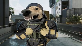 [Delta Operation] Operator Introduction: Alexi Codename: Deep Blue