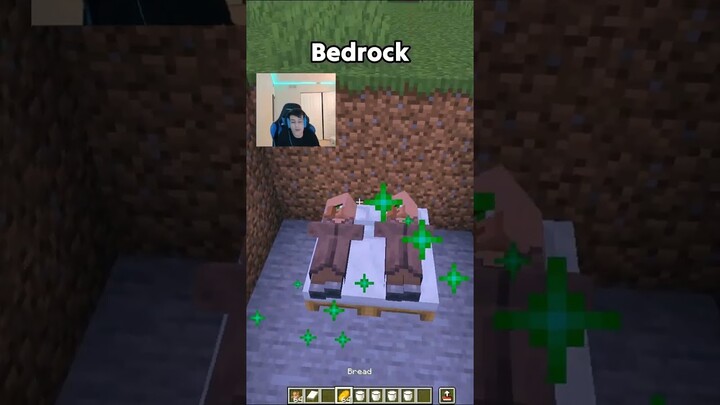 Minecraft Java Vs Bedrock!