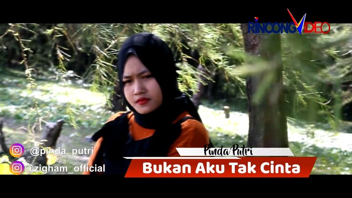 Cover Bukan Aku tak mampu Pinda Putri