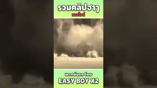 สิงโตหยอกๆ #short #easyboy #คลิปฮา #เบสไวน์