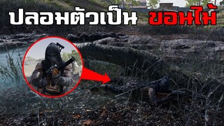 เนียนกว่านี้ไม่มีแล้ว! ปลอมตัวเป็นขอนไม้แอบฆ่าผู้เล่นในเกม PUBG