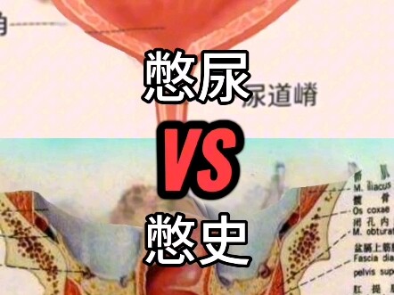 Nhịn tiểu VS Nhịn lịch sử