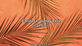 Cariñosa - Jandy Feliz // Letra //