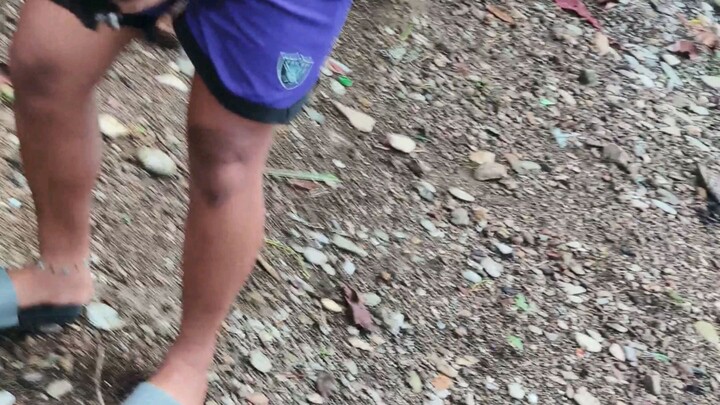 nativeline patalun talun 1st spar