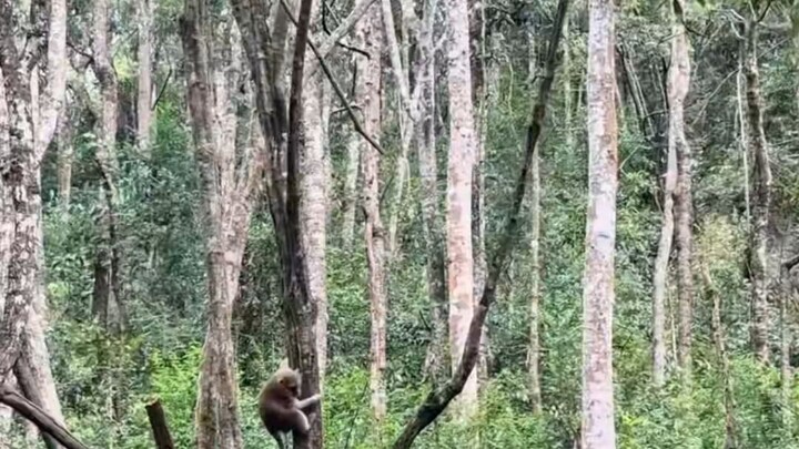 funny video 😅