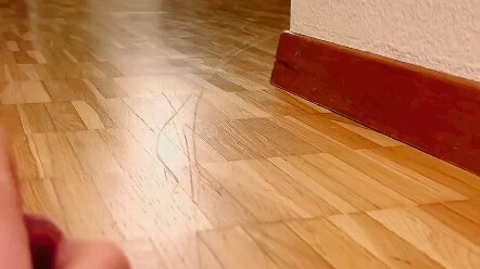 Góc rẽ gặp mèo