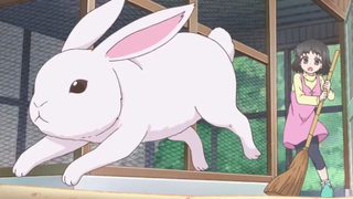 Anime học đường|Akkun no Kanojo MV |Love Someone #SchoolTime
