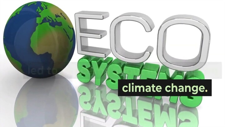 The Power of El Niño Understanding and Adapting to a Changing Climate