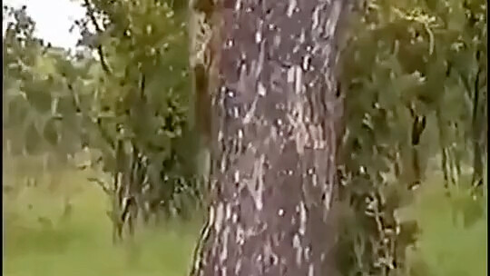 Báo Tử: Anh chẳng hiểu gì về tốc độ cả!