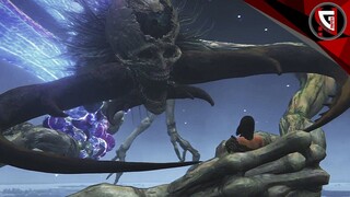 Elden Ring - Fails Compilation #5