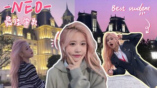 入职Vlog 在城堡里打工的一周！拿下最佳学员！