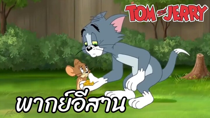 ทอมแอนด์เจอร์รี่ พากย์อีสาน ตอนยอดฮิต