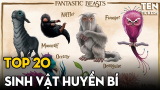 TOP 20 Con Giáp Huyền Bí Và Sao Để "Nuôi" Chúng? | FANTASTIC BEASTS Harry Potter Series |Ten Tickers