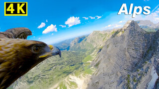 [4K] Tầm nhìn của đại bàng từ dãy Alps