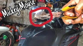 Rat In My Honda CBR | New Vlogging Room | Bike rider | Mirza Anik | Thunder Vlog | 2019.