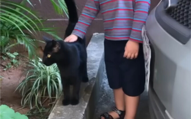 Đội Mèo Nhí Lập Đại Công