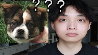 我     是     狗