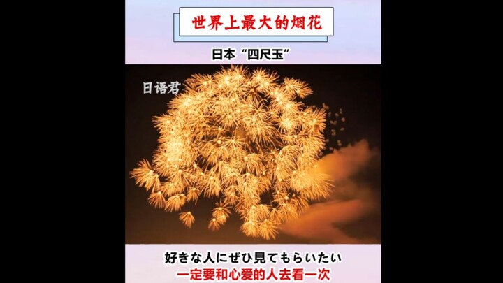 ดอกไม้ไฟที่ใหญ่ที่สุดในโลก - ดอกไม้ไฟขนาด 4 ชัคุของญี่ปุ่น