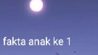 fakta anak pertama