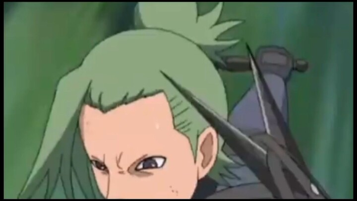 sage mode