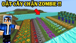 Mình Thử Thách Đặt Bãy Chặn ZomBie | Bằng Những Cây Có Kĩ Năng Đặc Biệt | TRONG MINECRAFT PE..!!