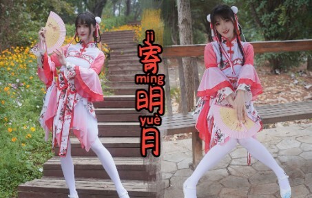 【竖屏】寄明月【翎雪】一镜到底