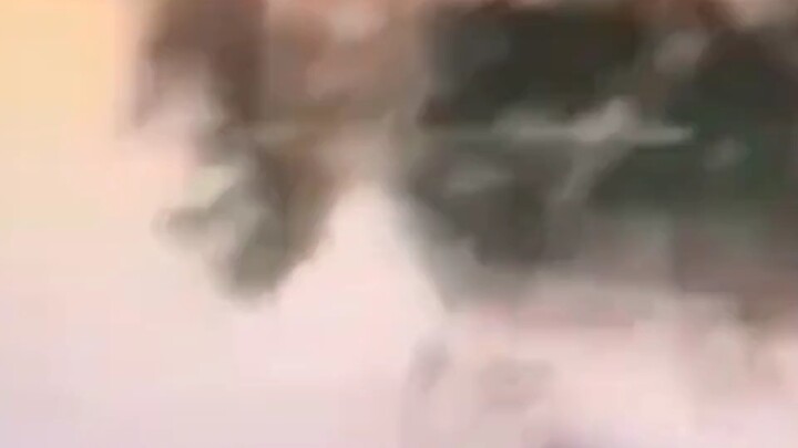 The croc got an order!