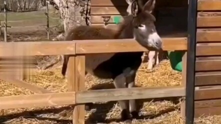 ฮ่าๆๆๆๆๆ