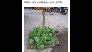 问：如果全球都停止粮食出口，中国能否自给自足？  兔子：开门，自由贸易～