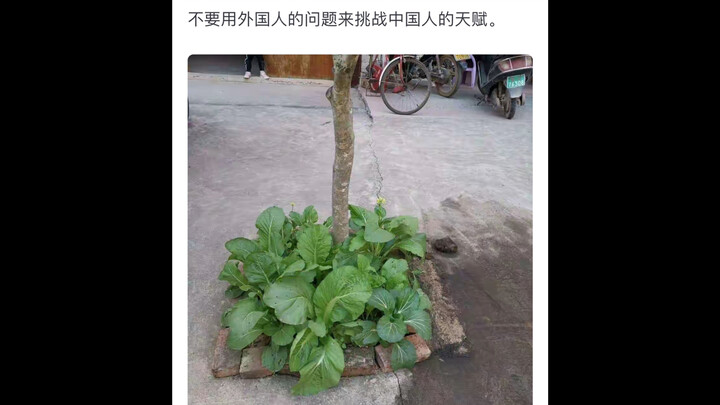 问：如果全球都停止粮食出口，中国能否自给自足？  兔子：开门，自由贸易～