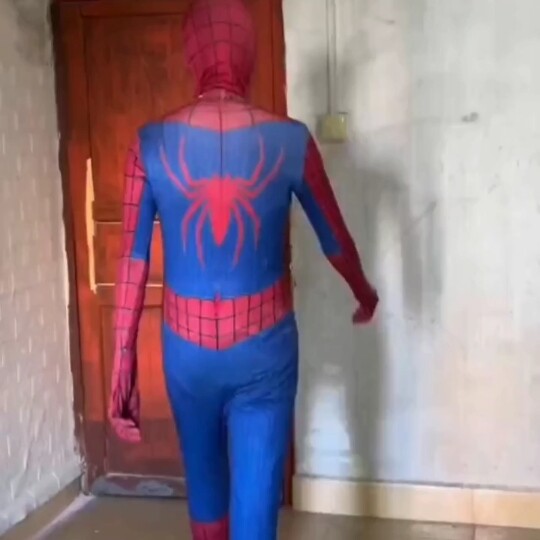 Spider-Man: Is it you, damn it, calling Diga?