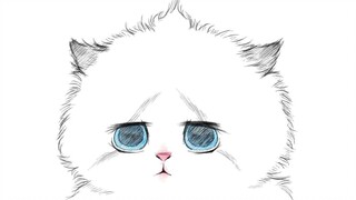 "It's obviously not a ragdoll cat, but it's so happy..."