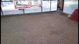 Laban na bukas nila bukas