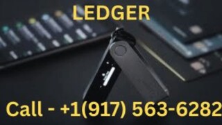 What is the Official Ledger Wallet Number?