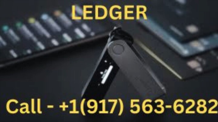What is the Official Ledger Wallet Number?
