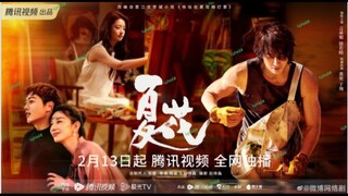 🇨🇳THE FORBIDDEN FLOWER EP 21(engsub)2023