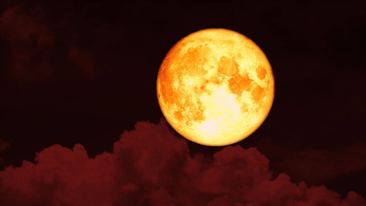 [Rekaman kosong | Gelap] Agak menakutkan, hati-hati! Pembunuhnya keluar di malam bulan darah.