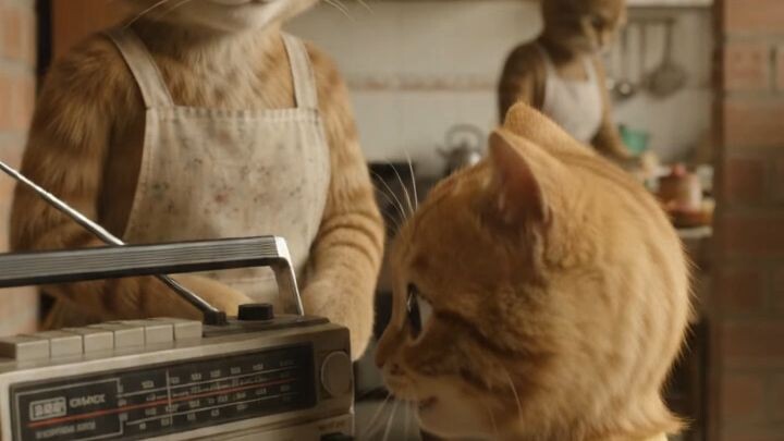 Luly grabando su voz en cassette #cats #ai #ia #extremelife #vidareal