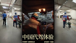 老美体验代驾服务