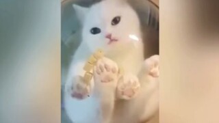 การฉีดยานั้นหมอทั้ง 3 คนก็จำจัดไม่ได้เลย  น่าสงสารเหลือเกิน